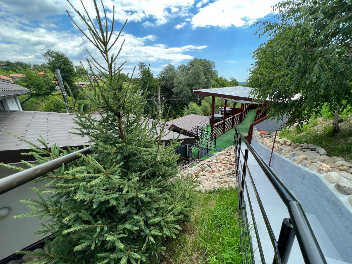 Hotel Vila Swe Sar Curtea de Argeş Exterior foto